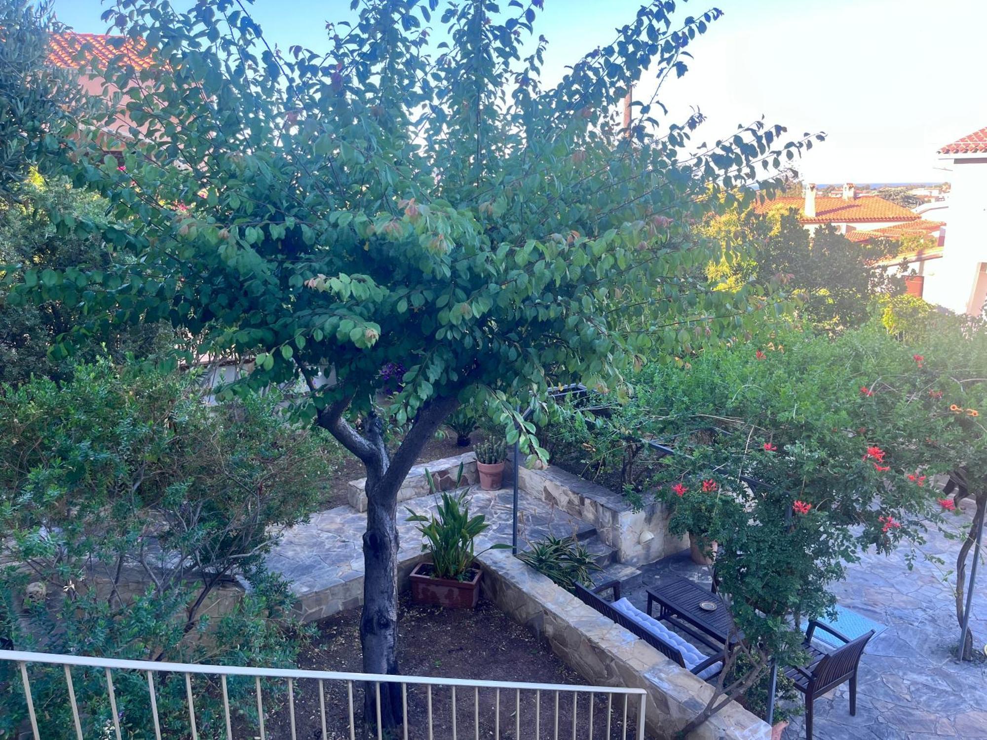 Villa Fatta Di Sogni Pula Zewnętrze zdjęcie